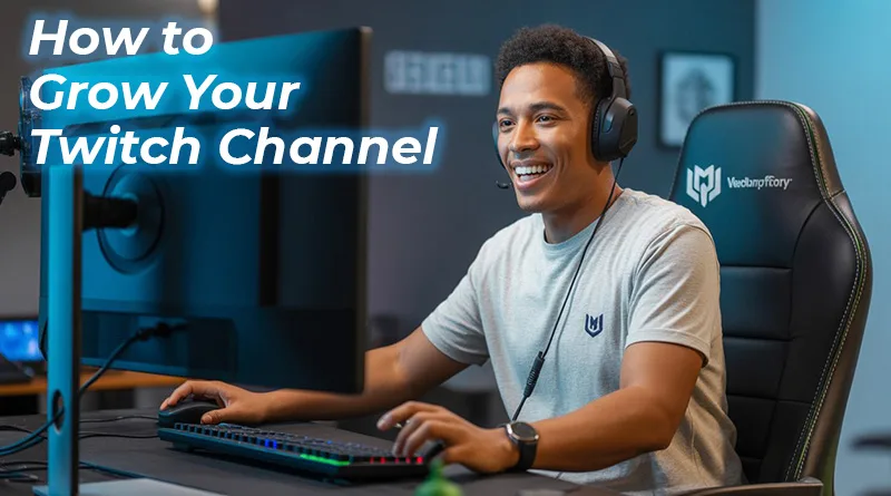 A successful streamer engaging with their community, the goal of this guide on how to grow your Twitch channel.